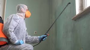 Best Asbestos and Lead Testing During Mold Inspection  in Liverpool, NY